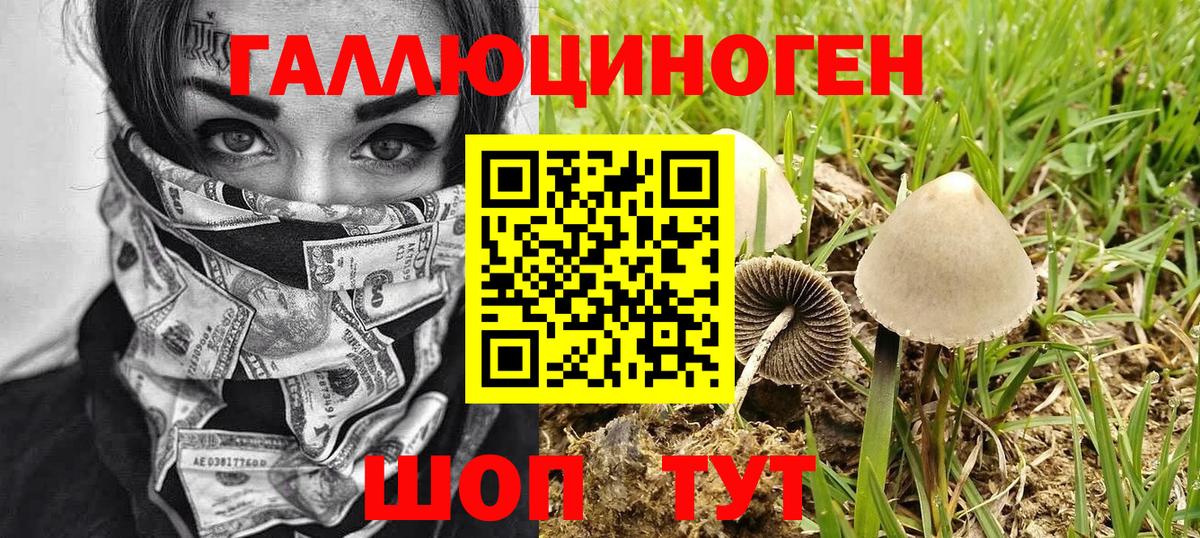 Керчь  Вход с VPN  ГАШИШ  Меф МЯУ МЯУ кристаллы  Cocaine  Меф МЯУ МЯУ  А ПВП СОЛЬ кристаллы  Наркошоп  Марихуана 